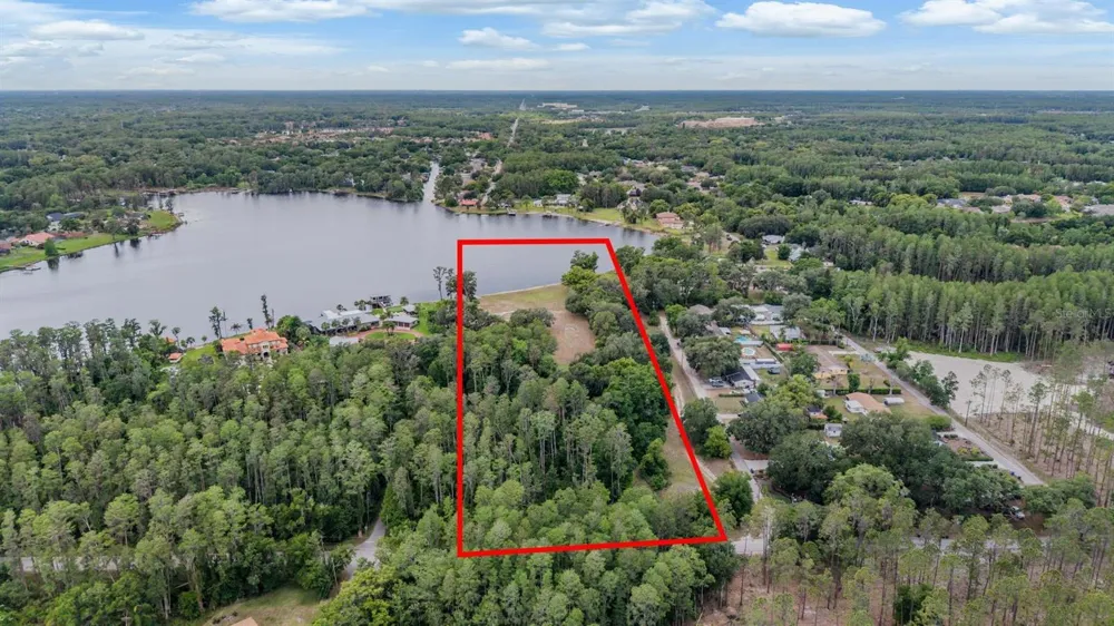 215 LAKE BRANT DRIVE Lutz, FL 33548