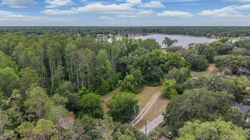 215 LAKE BRANT DRIVE Lutz, FL 33548