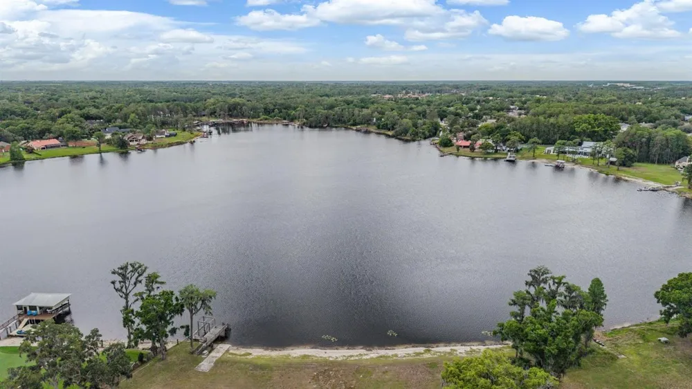 215 LAKE BRANT DRIVE Lutz, FL 33548