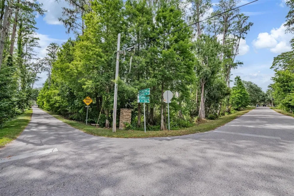 215 LAKE BRANT DRIVE Lutz, FL 33548