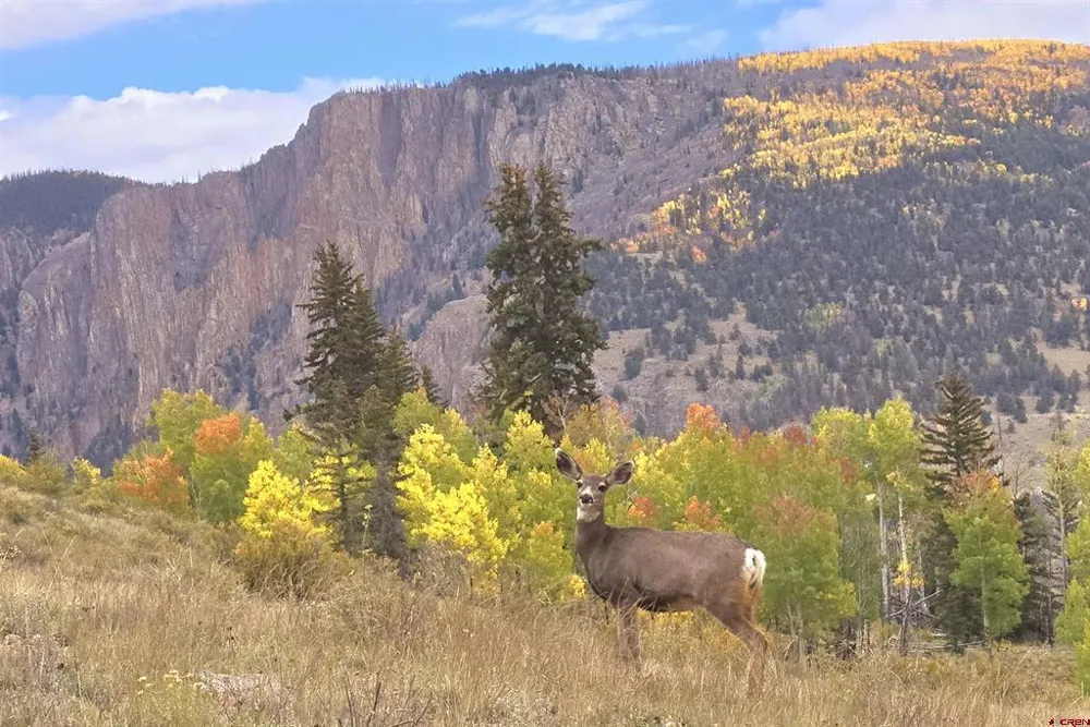 County Road 504 Bachelor Loop Creede, CO 81130