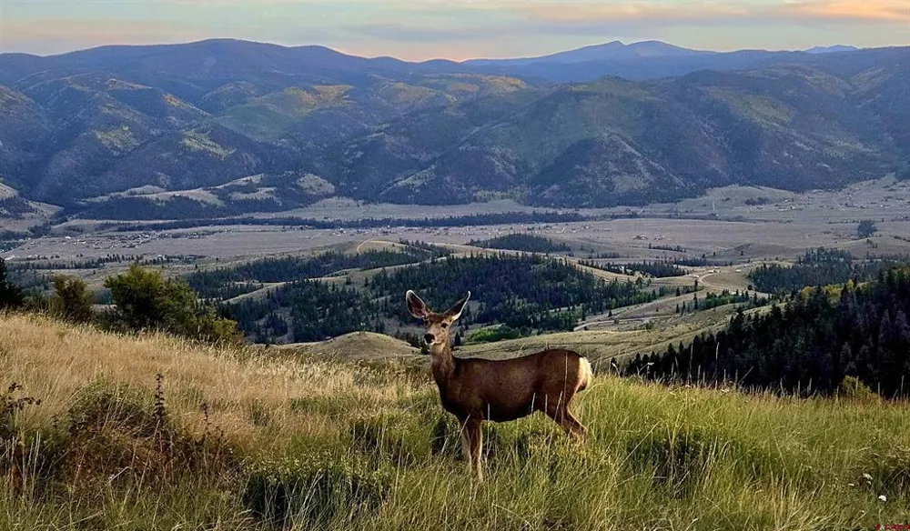 County Road 504 Bachelor Loop Creede, CO 81130
