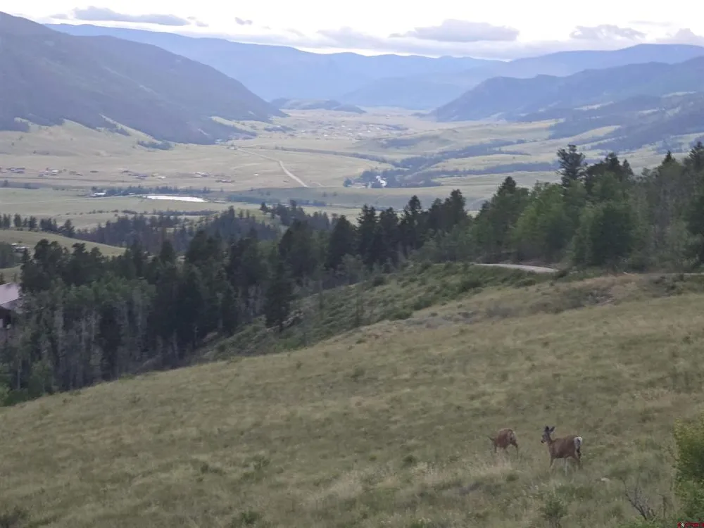 County Road 504 Bachelor Loop Creede, CO 81130