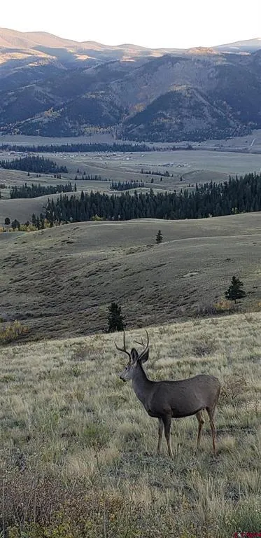 County Road 504 Bachelor Loop Creede, CO 81130