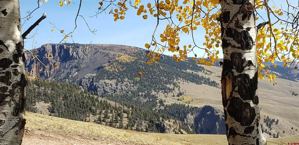 County Road 504 Bachelor Loop Creede, CO 81130