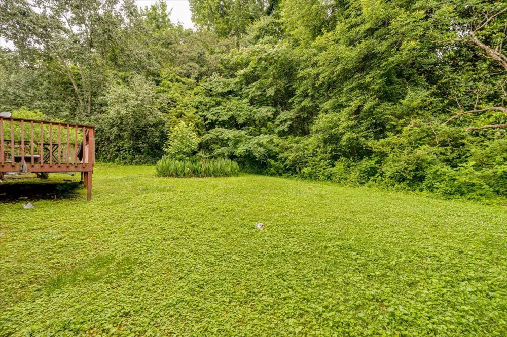 86 Bluff View Circle Flintstone, GA 30725