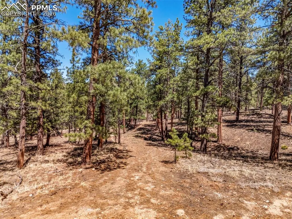 185 Sioux Trail Westcliffe, CO 81252