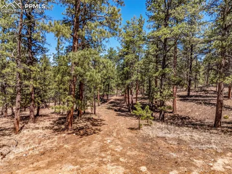 185 Sioux Trail