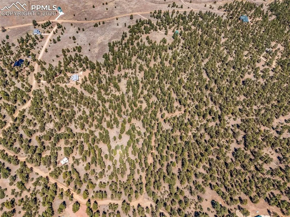 185 Sioux Trail Westcliffe, CO 81252