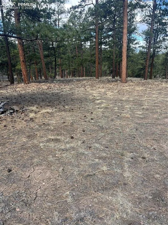 185 Sioux Trail Westcliffe, CO 81252