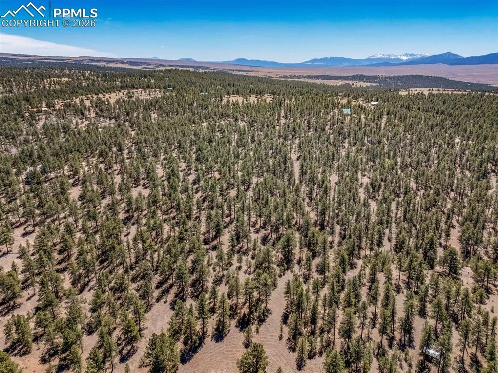 185 Sioux Trail Westcliffe, CO 81252