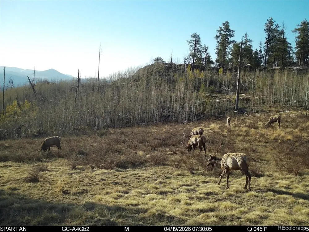 404 Valley Drive Florissant, CO 80816