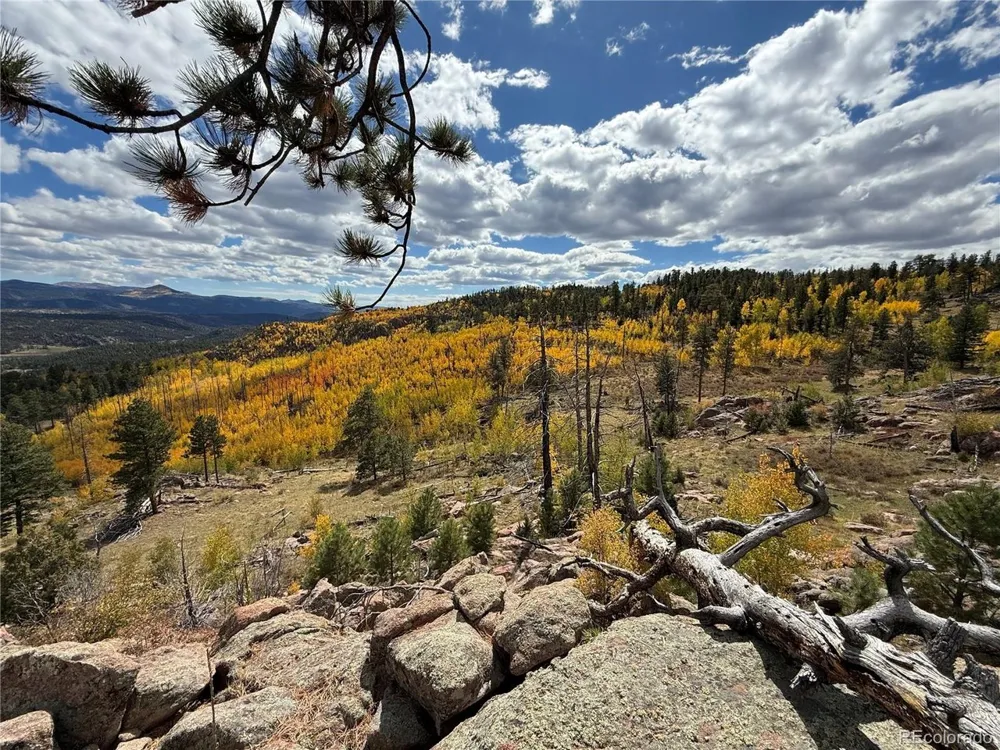 404 Valley Drive Florissant, CO 80816
