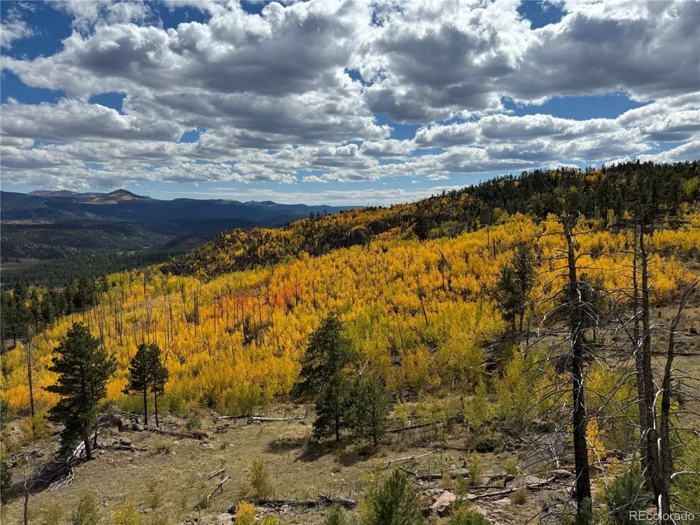 404 Valley Drive Florissant, CO 80816