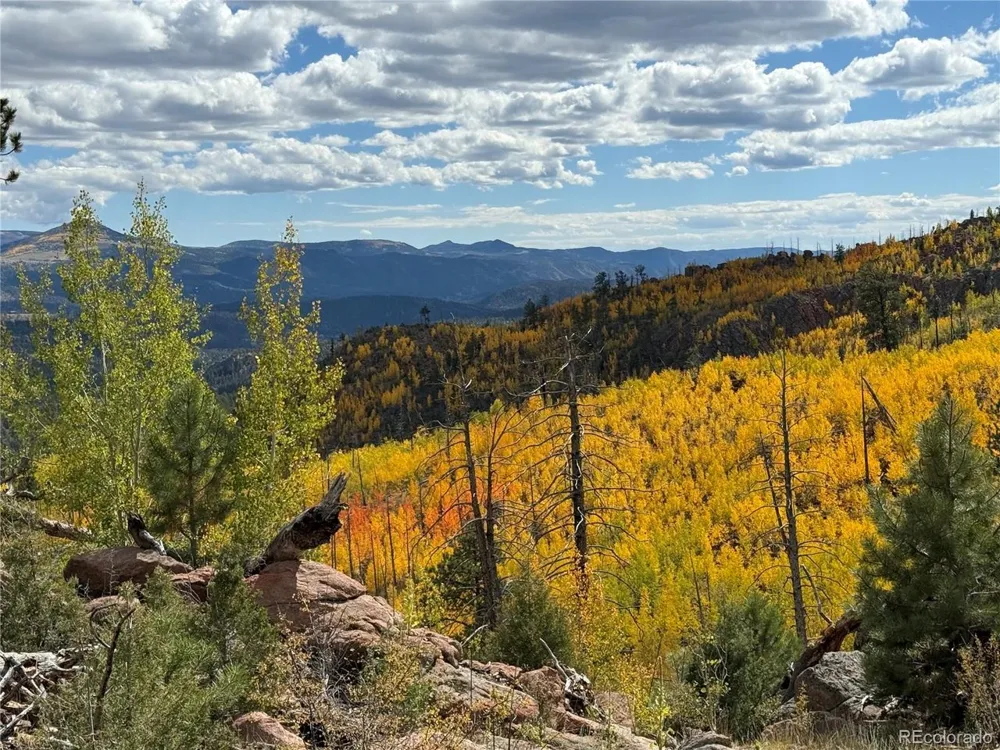 404 Valley Drive Florissant, CO 80816