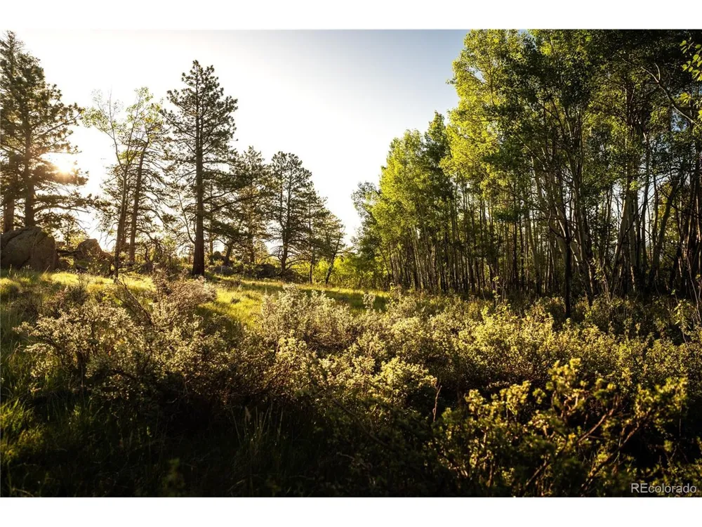 404 Valley Drive Florissant, CO 80816
