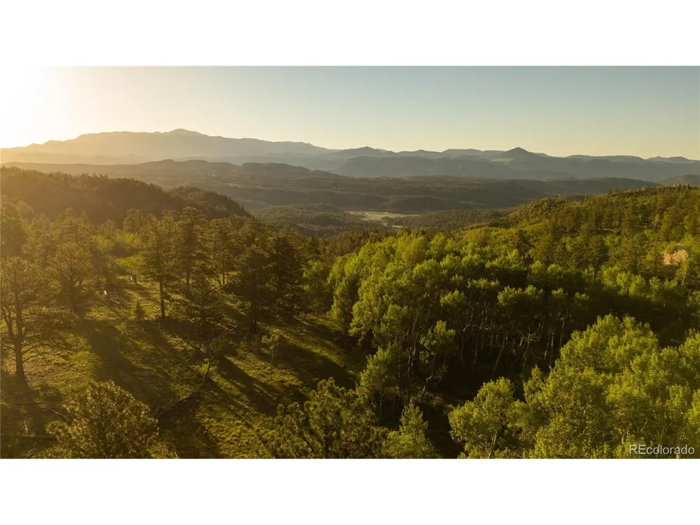 404 Valley Drive Florissant, CO 80816