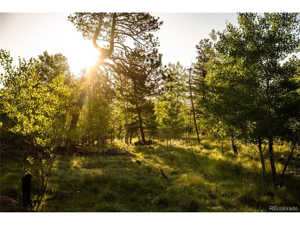 404 Valley Drive Florissant, CO 80816