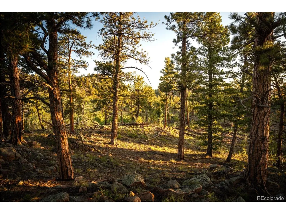 404 Valley Drive Florissant, CO 80816