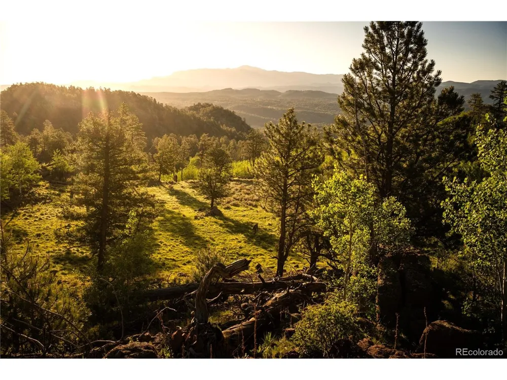 404 Valley Drive Florissant, CO 80816