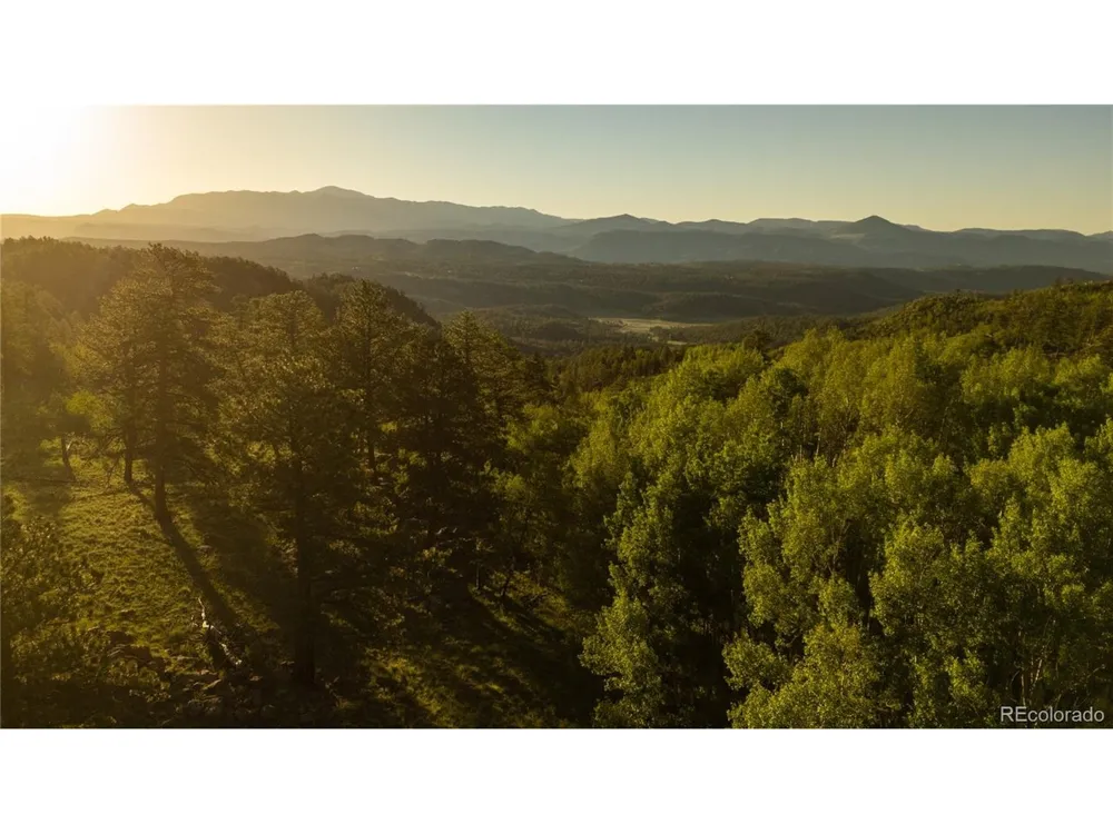 404 Valley Drive Florissant, CO 80816
