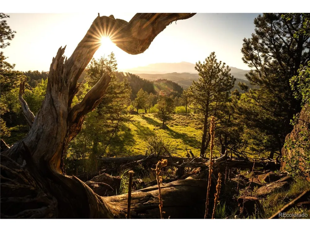 404 Valley Drive Florissant, CO 80816