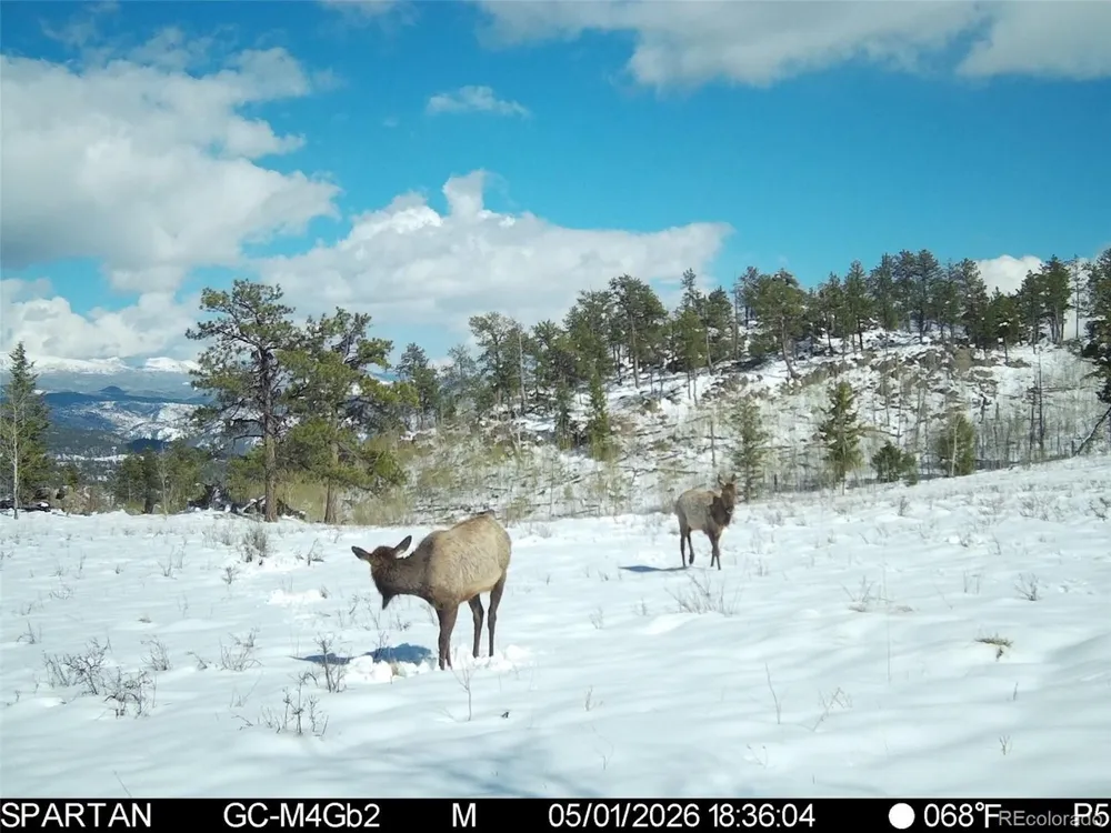 404 Valley Drive Florissant, CO 80816