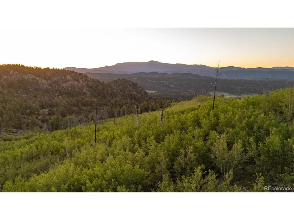 404 Valley Drive Florissant, CO 80816