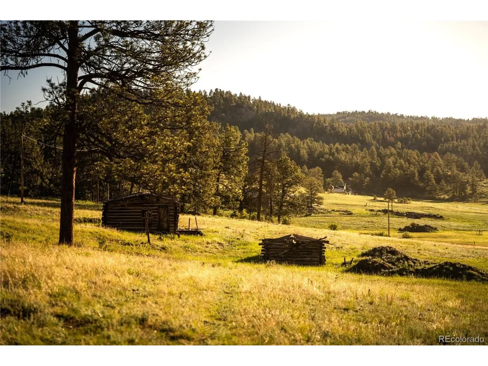 404 Valley Drive Florissant, CO 80816