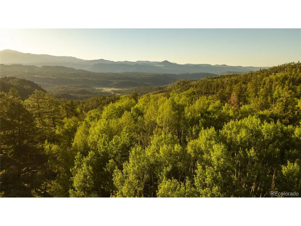 404 Valley Drive Florissant, CO 80816