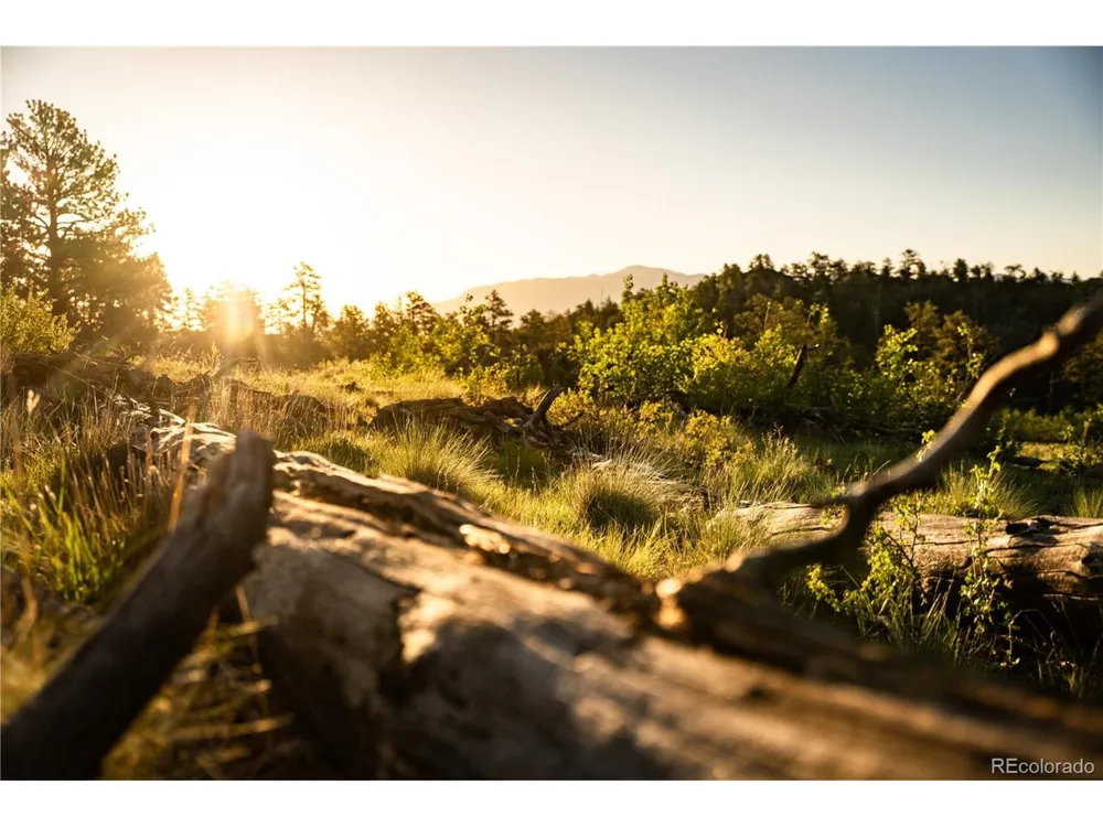 404 Valley Drive Florissant, CO 80816