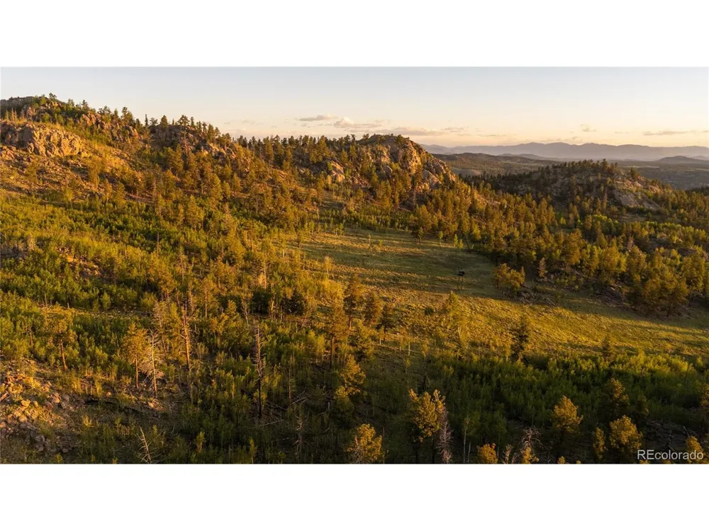 404 Valley Drive Florissant, CO 80816
