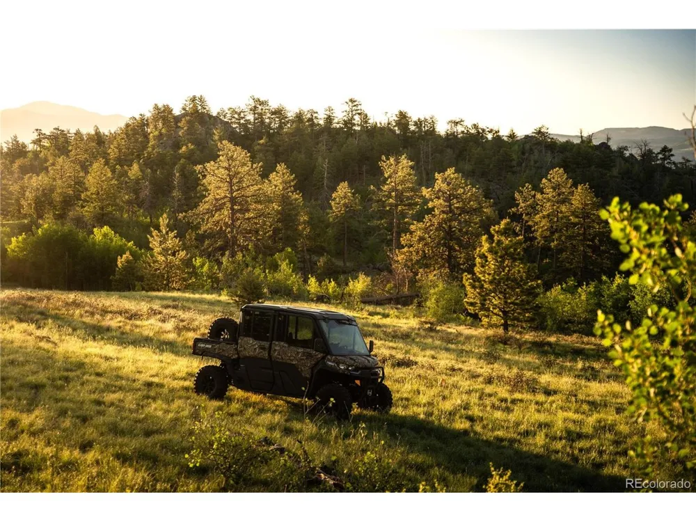 404 Valley Drive Florissant, CO 80816