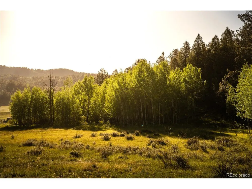 404 Valley Drive Florissant, CO 80816