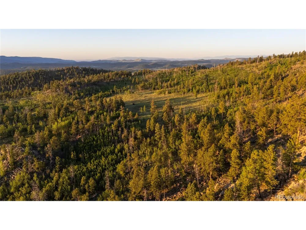 404 Valley Drive Florissant, CO 80816