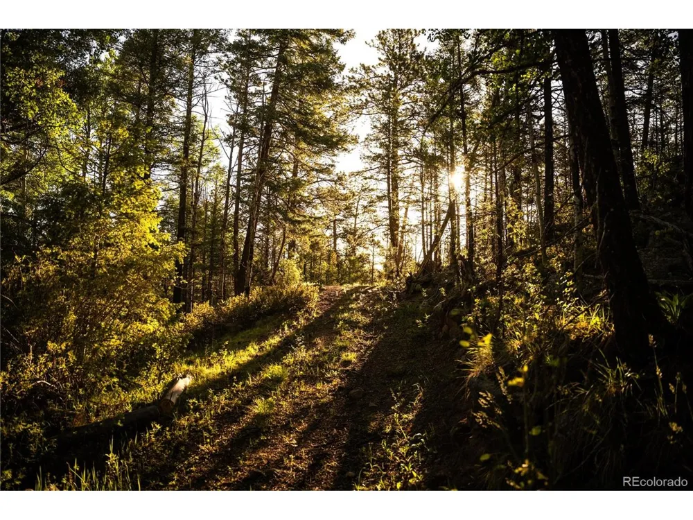 404 Valley Drive Florissant, CO 80816