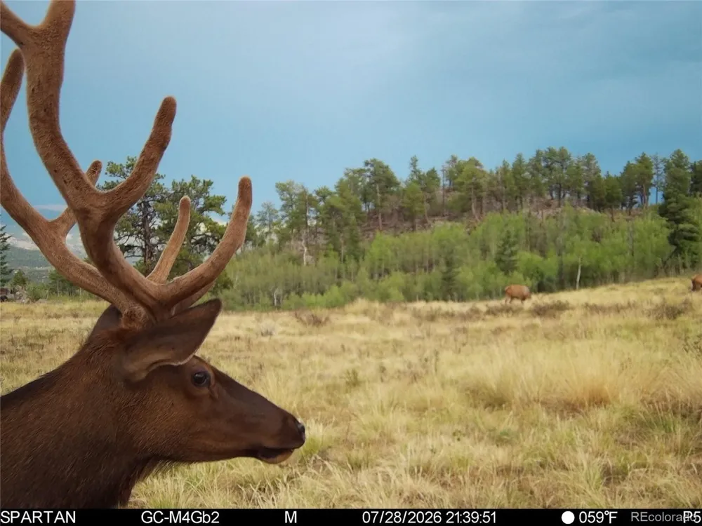 404 Valley Drive Florissant, CO 80816