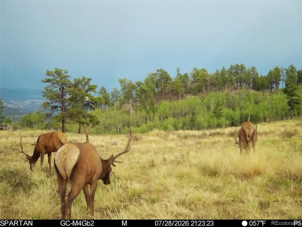 404 Valley Drive Florissant, CO 80816