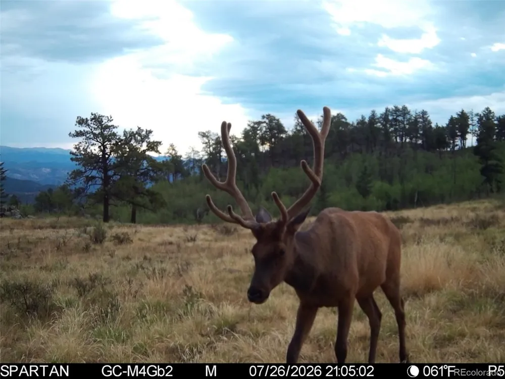 404 Valley Drive Florissant, CO 80816