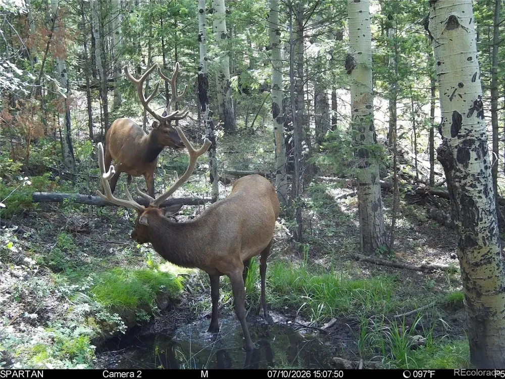 404 Valley Drive Florissant, CO 80816