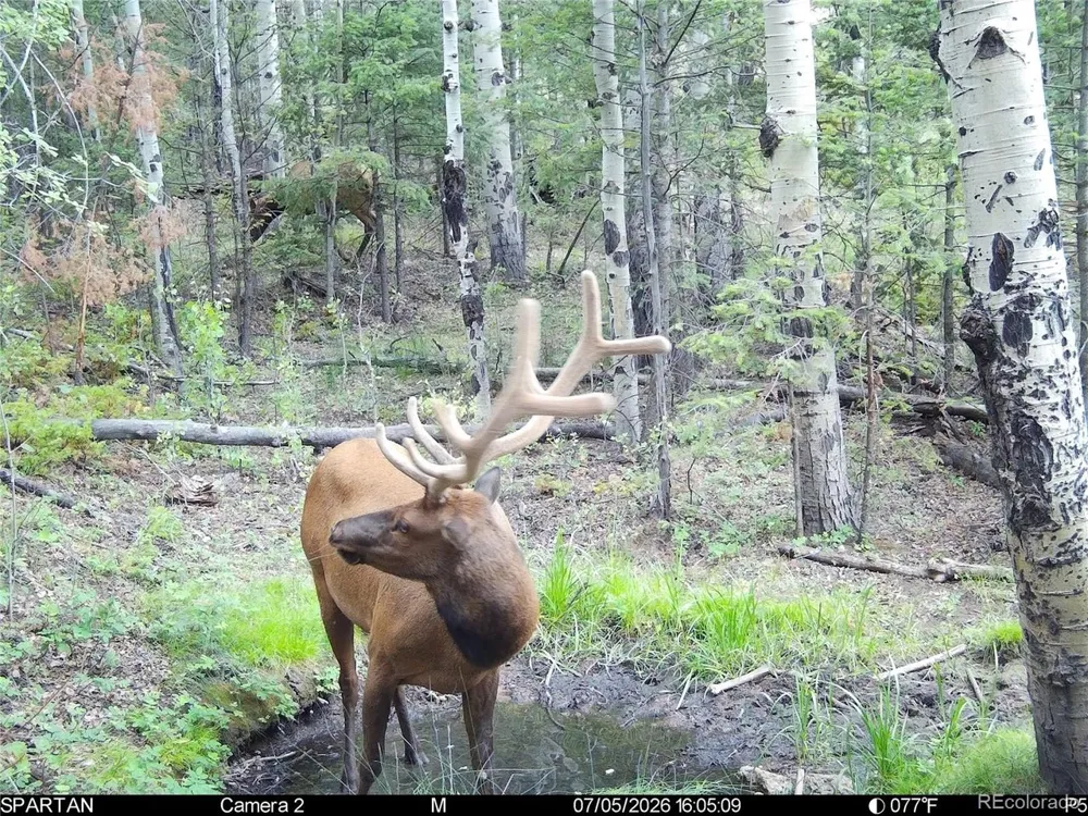 404 Valley Drive Florissant, CO 80816
