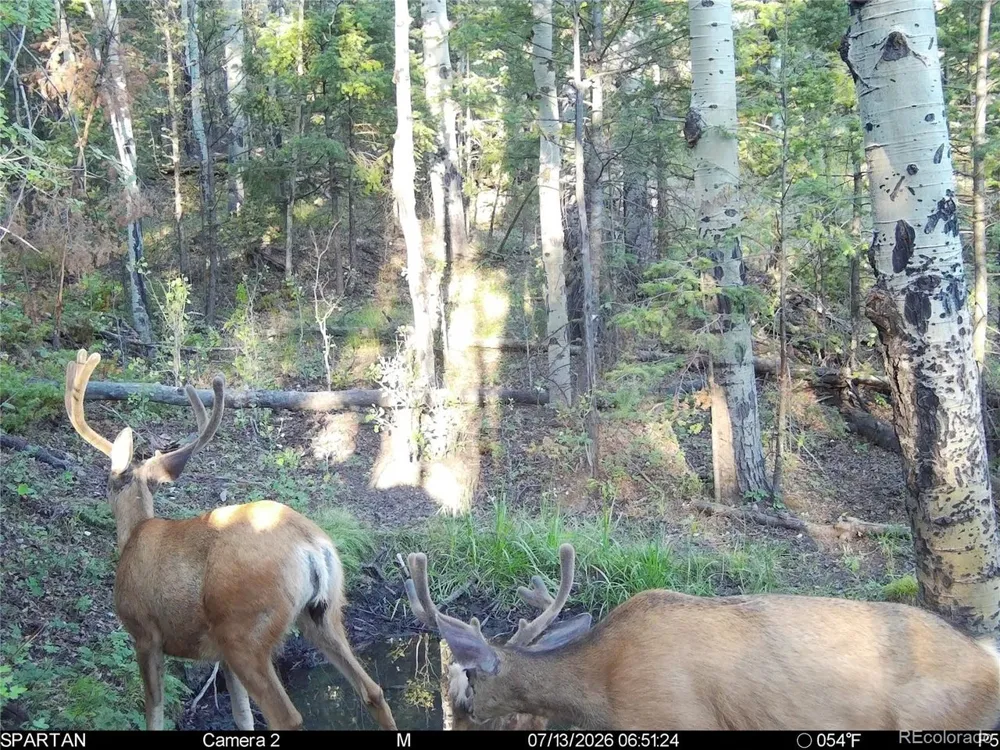 404 Valley Drive Florissant, CO 80816
