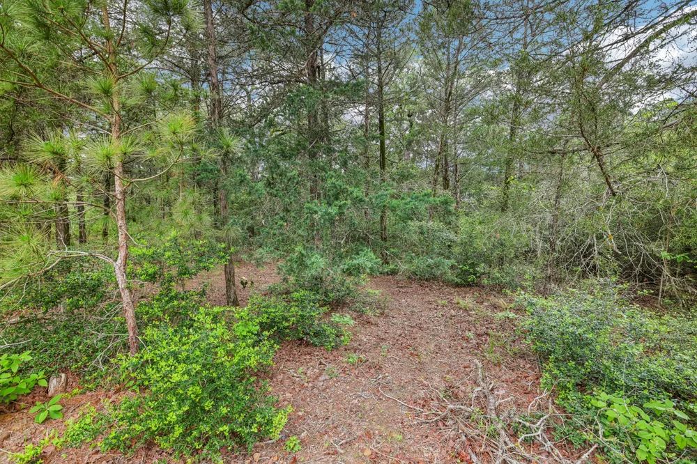 267 Corral Road Smithville, TX 78957
