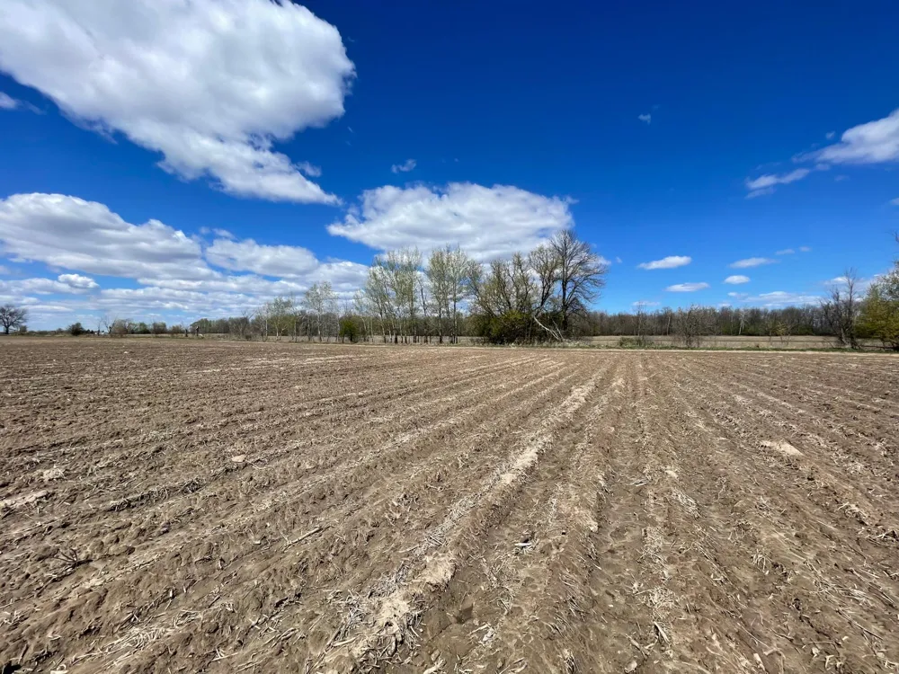 XXX 92nd Avenue Princeton, MN 55371