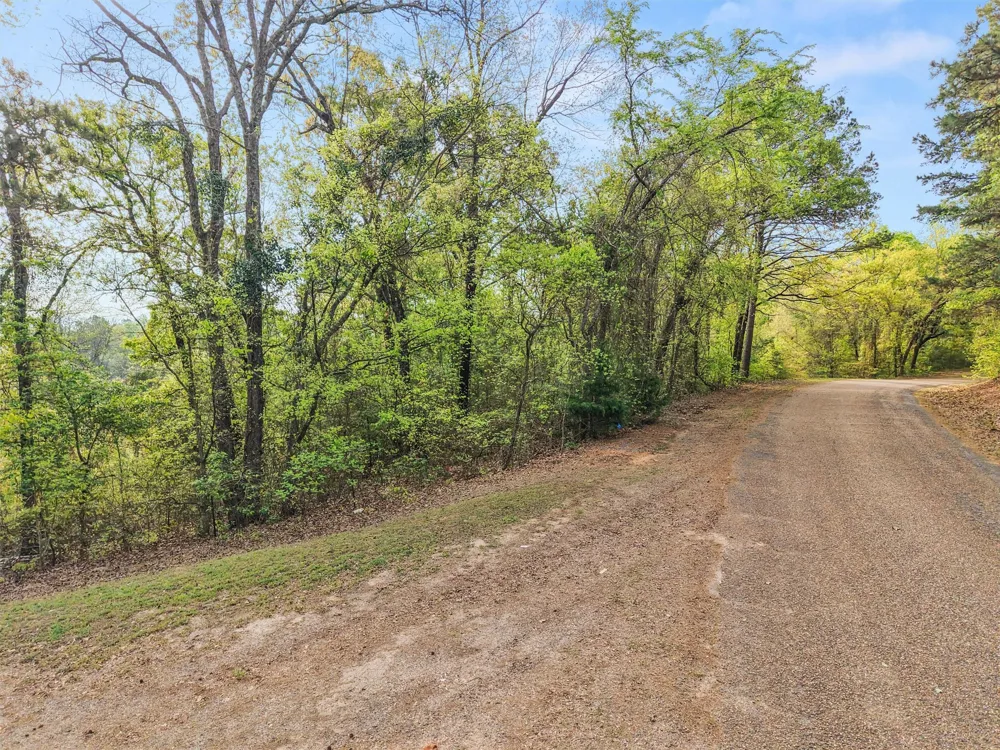 571 County Road Daingerfield, TX 75638