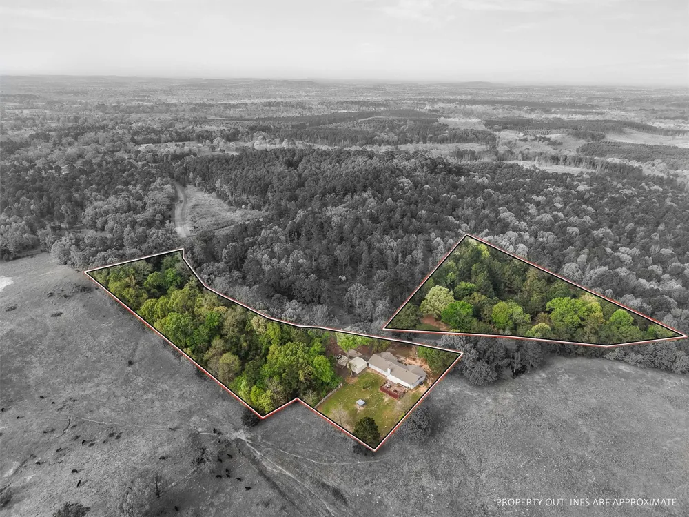 571 County Road Daingerfield, TX 75638