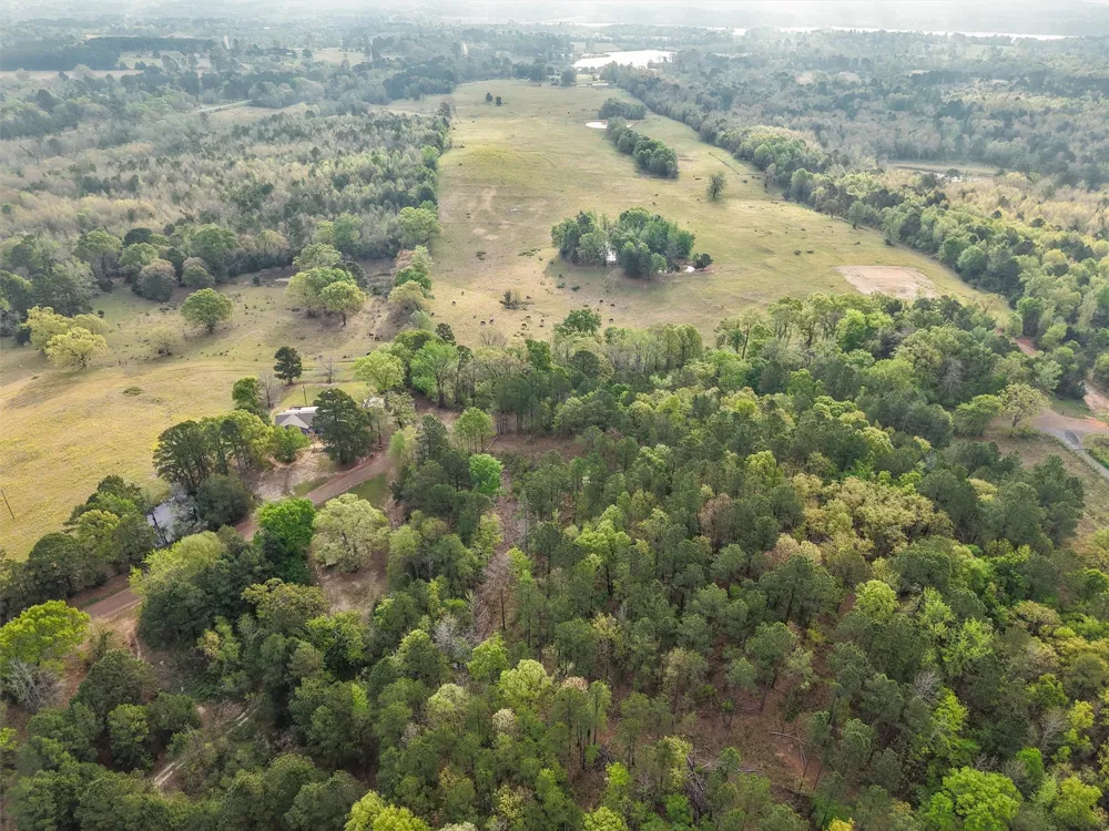 571 County Road Daingerfield, TX 75638