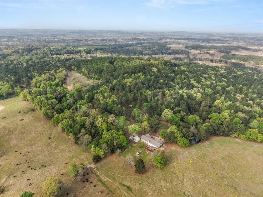 571 County Road Daingerfield, TX 75638