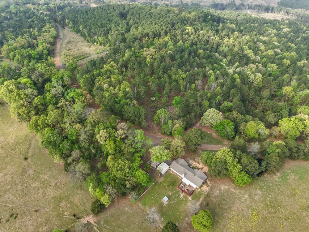 571 County Road Daingerfield, TX 75638