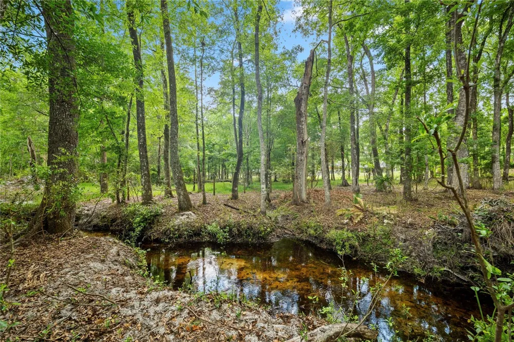 6967 SHARRON ROAD Green Cove Springs, FL 32043